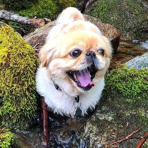 Meet your Posher, Felecia